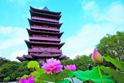 清心为治本 直道是身谋——包拯千年家风文化传承寻迹