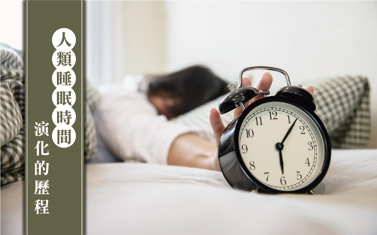 人類睡眠演化的歷程：從原始到現代的變遷