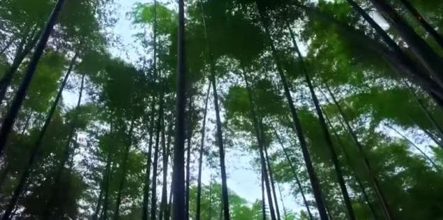 11部宝藏纪录片，换种方式带孩子了解中国