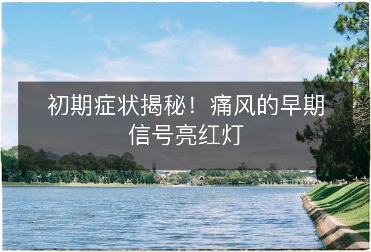 初期症状揭秘！痛风的早期信号亮红灯