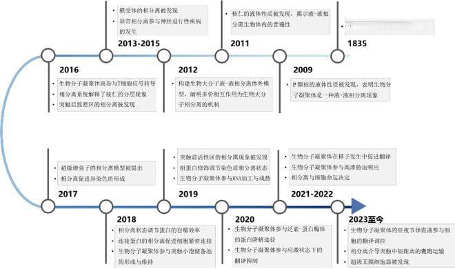 清华大学吝易团队综述生物大分子相分离最新研究进展