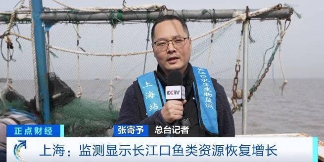 长江十年禁渔工作取得阶段性成效！长江口鱼类资源恢复增长
