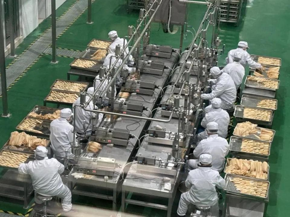 冻粑机械化、柑橘链延长、茶叶卖全球，看眉山丹棱如何写好“三篇文章”