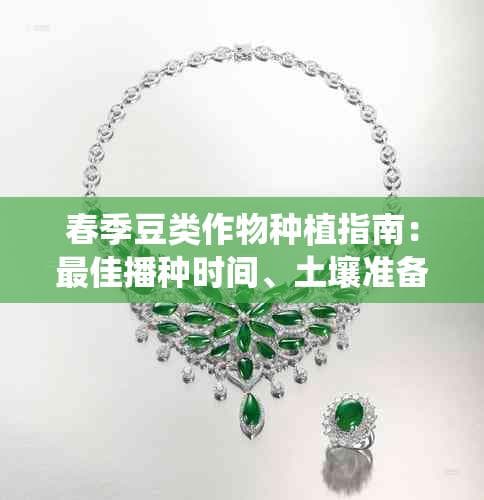 春季豆类作物种植指南：最佳播种时间、土壤准备、种植技巧与病虫害防治