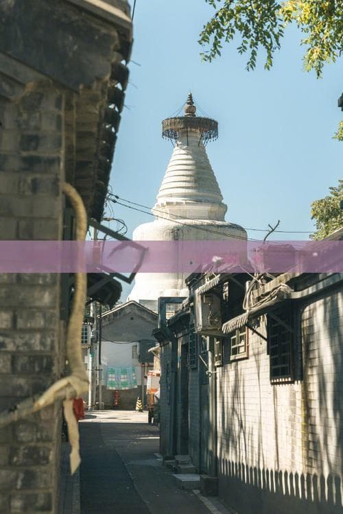 亚龙湾国际邮轮之旅：全方位价格攻略与精彩体验解析