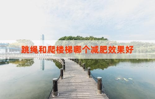 跳绳和爬楼梯哪个减肥效果更好？比较与解析