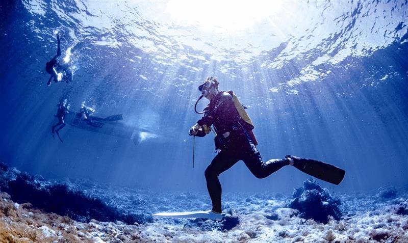 地下3000米新生物以铀为生，科学家惊叹：地球生命奥秘再添新章