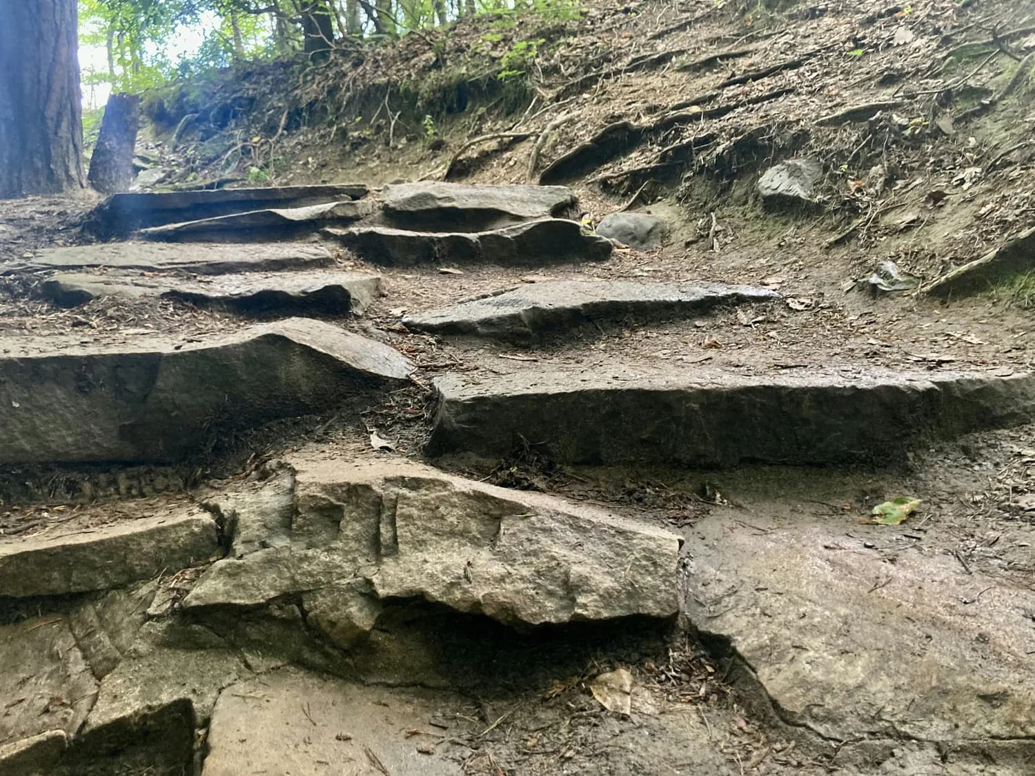 探寻川黔盐茶古道：一条承载千年的贸易与文化之路