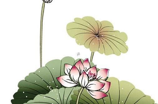 转运珠的七种寓意及其象征含义 了解转运珠的种类和功效