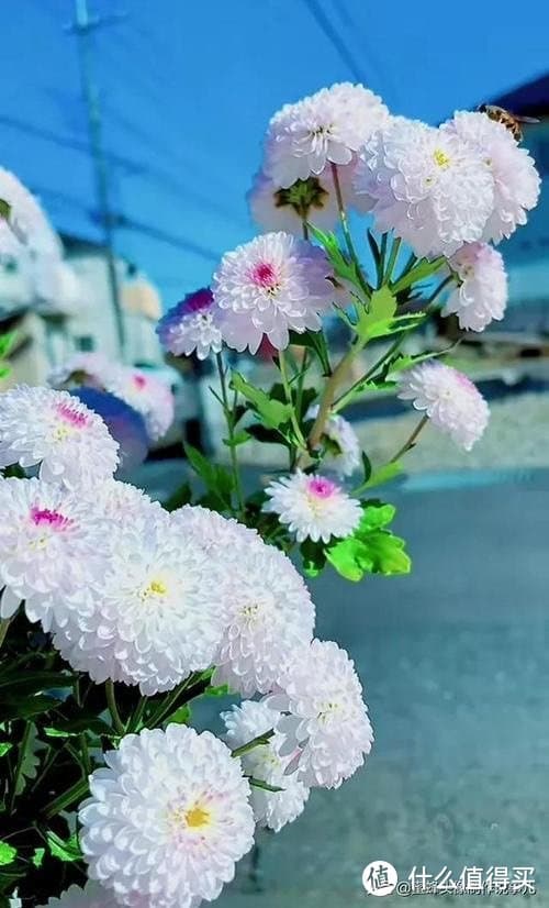 理解能力培养：提升思维深度的途径与方法