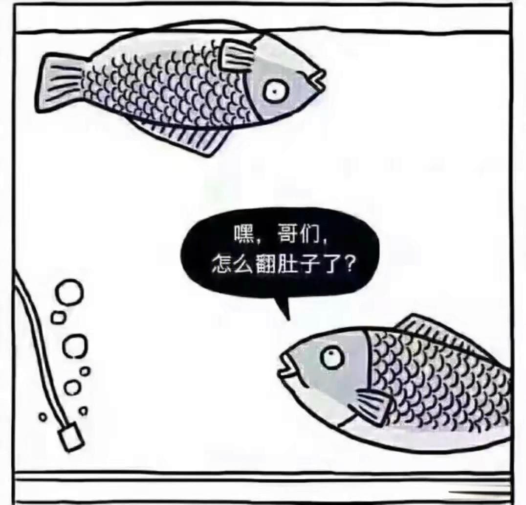 金鱼肚皮朝上是怎么回事？怎么办？你不用太担心，也很好办