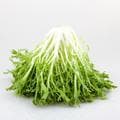 芽菜：四川四大腌菜之一，营养丰富，挑选有讲究