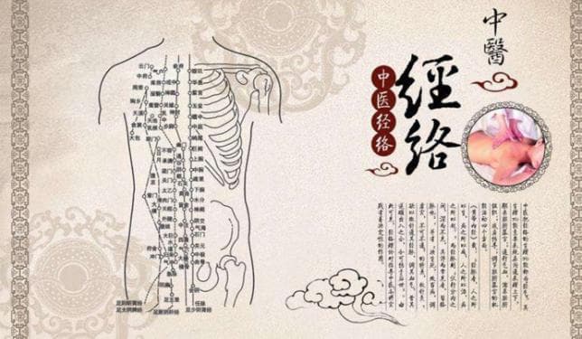 十二经络的功能作用详解，一看就懂，建议收藏！
