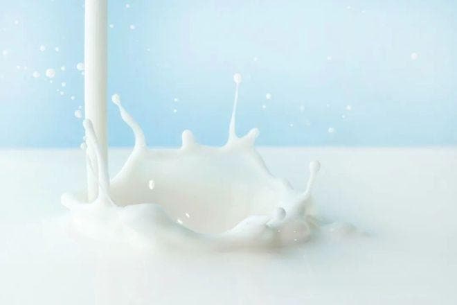 冷等离子体灭菌技术在乳制品中的应用研究进展