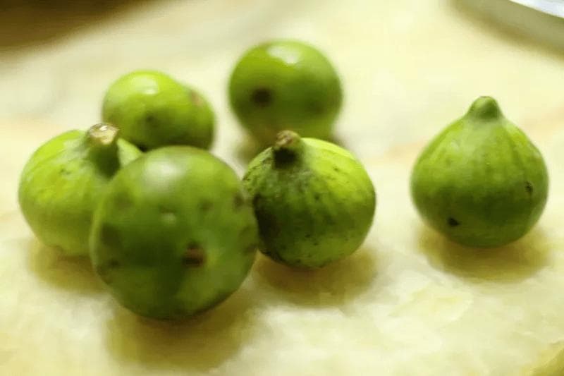 中医忌口全解析：从病前到病后，这些饮食禁忌要记牢