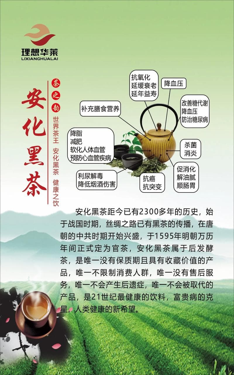 黑茶，古老茶饮的神奇功效与作用