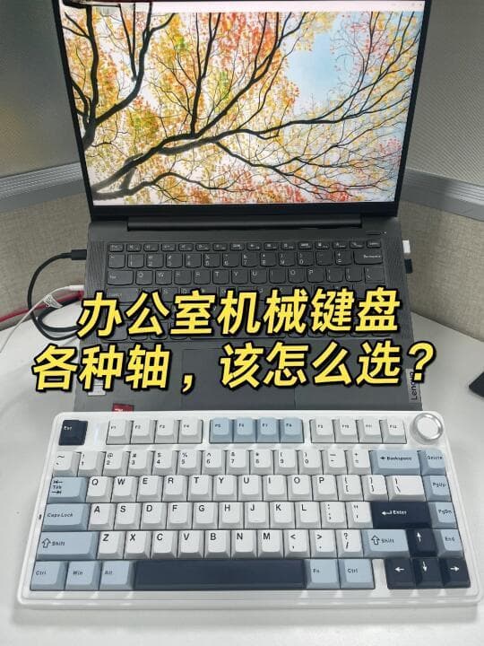详解机械键盘常见轴体种类与区别，帮你找到最适合的键盘