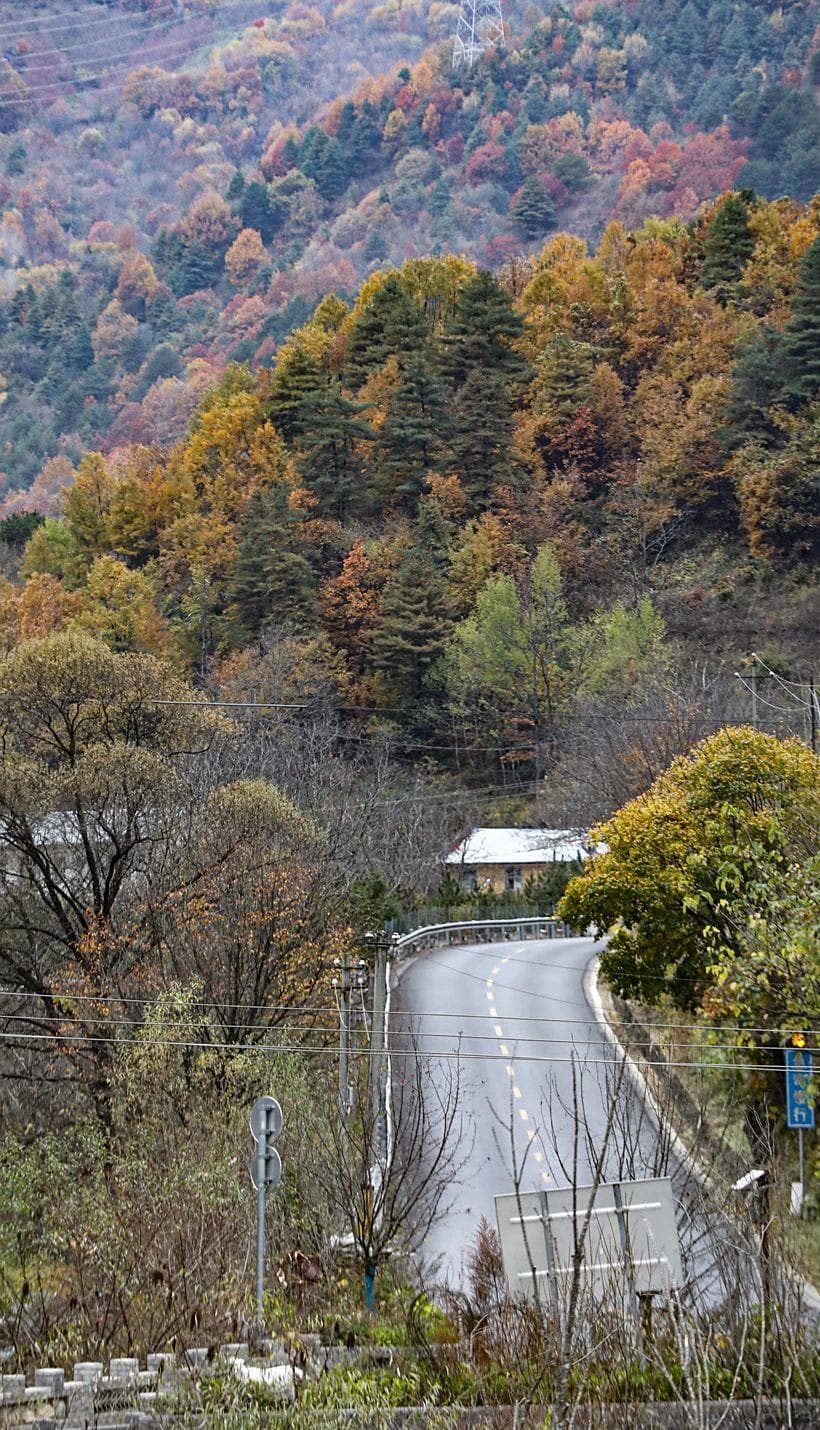 周末了，去108国道赏秦岭最美秋景（附详细路线攻略）