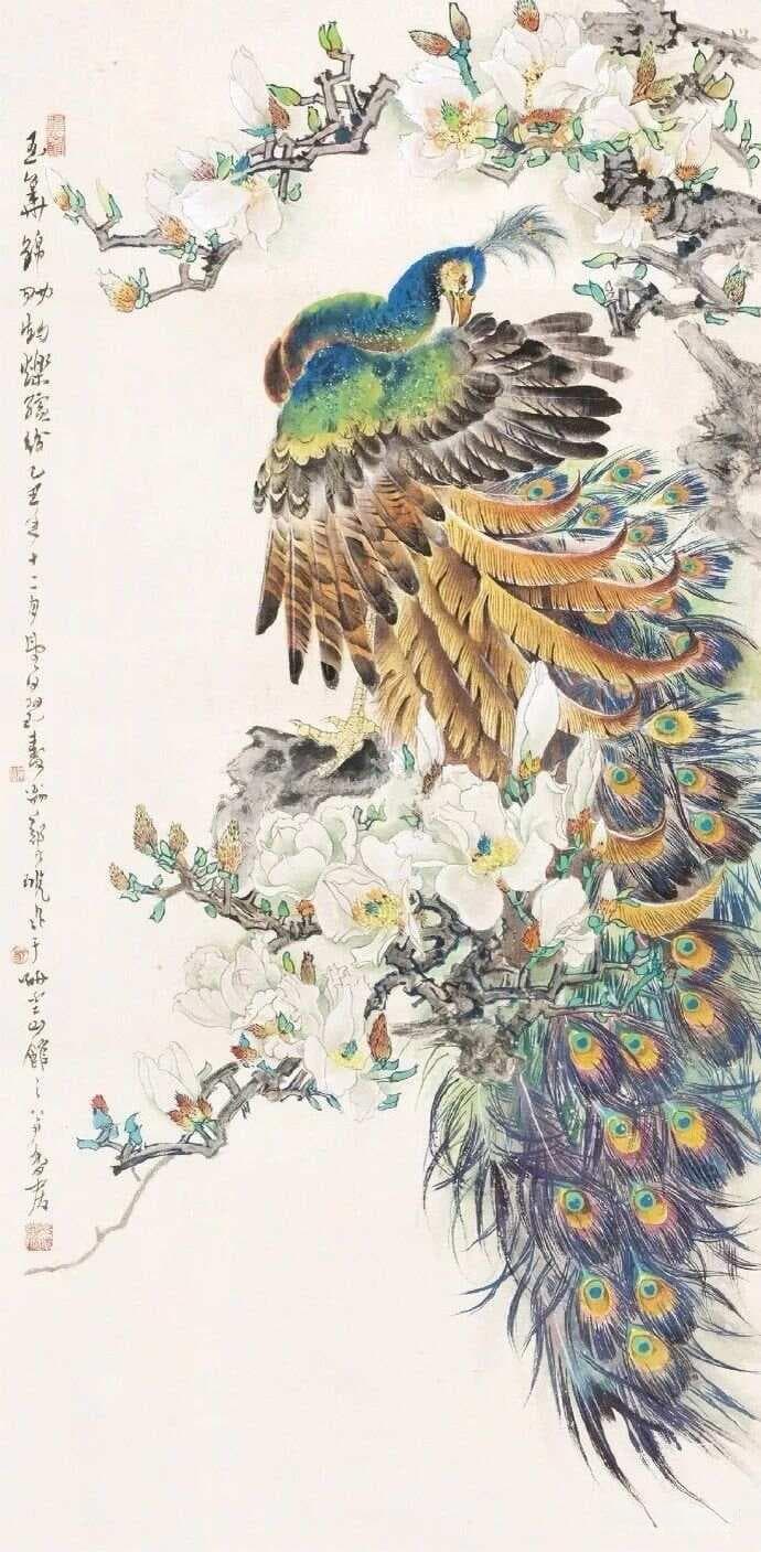 20大名家画孔雀，不是一般的美！