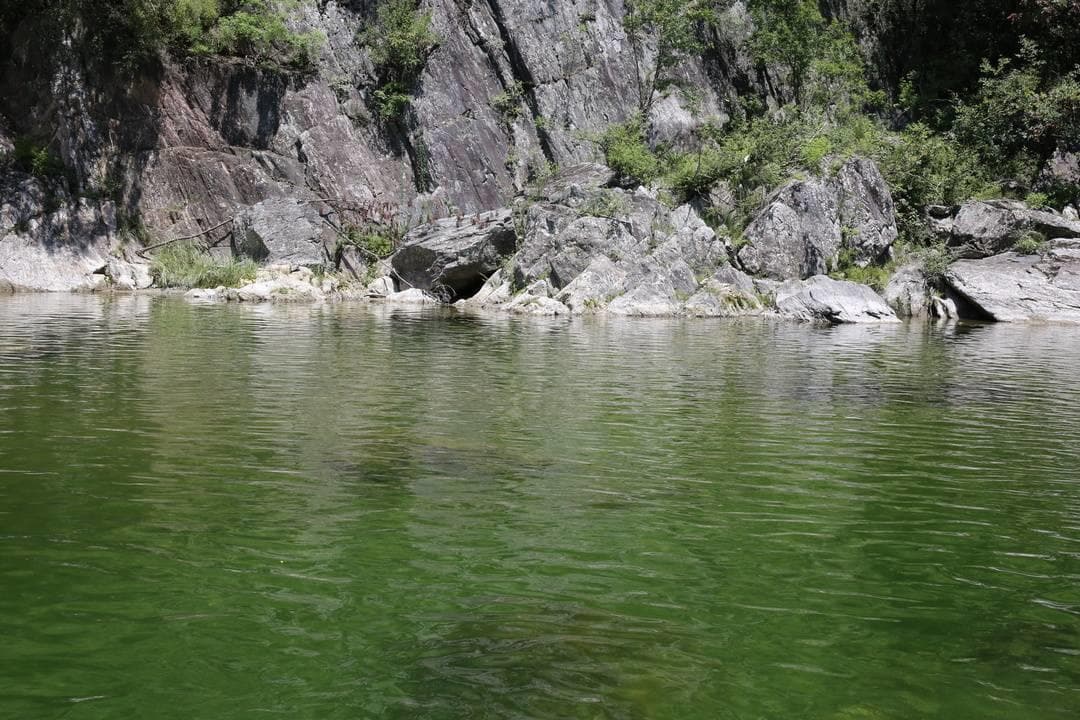 历经上亿年演化 中国野生“娃娃鱼”现在怎么样了？