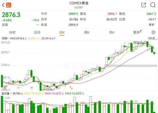 国际金价震荡引发抢购热潮，专家：短期回调风险需警惕