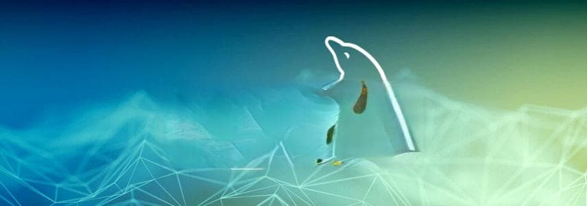 MySQL 安全加固：数据库全面保护指南
