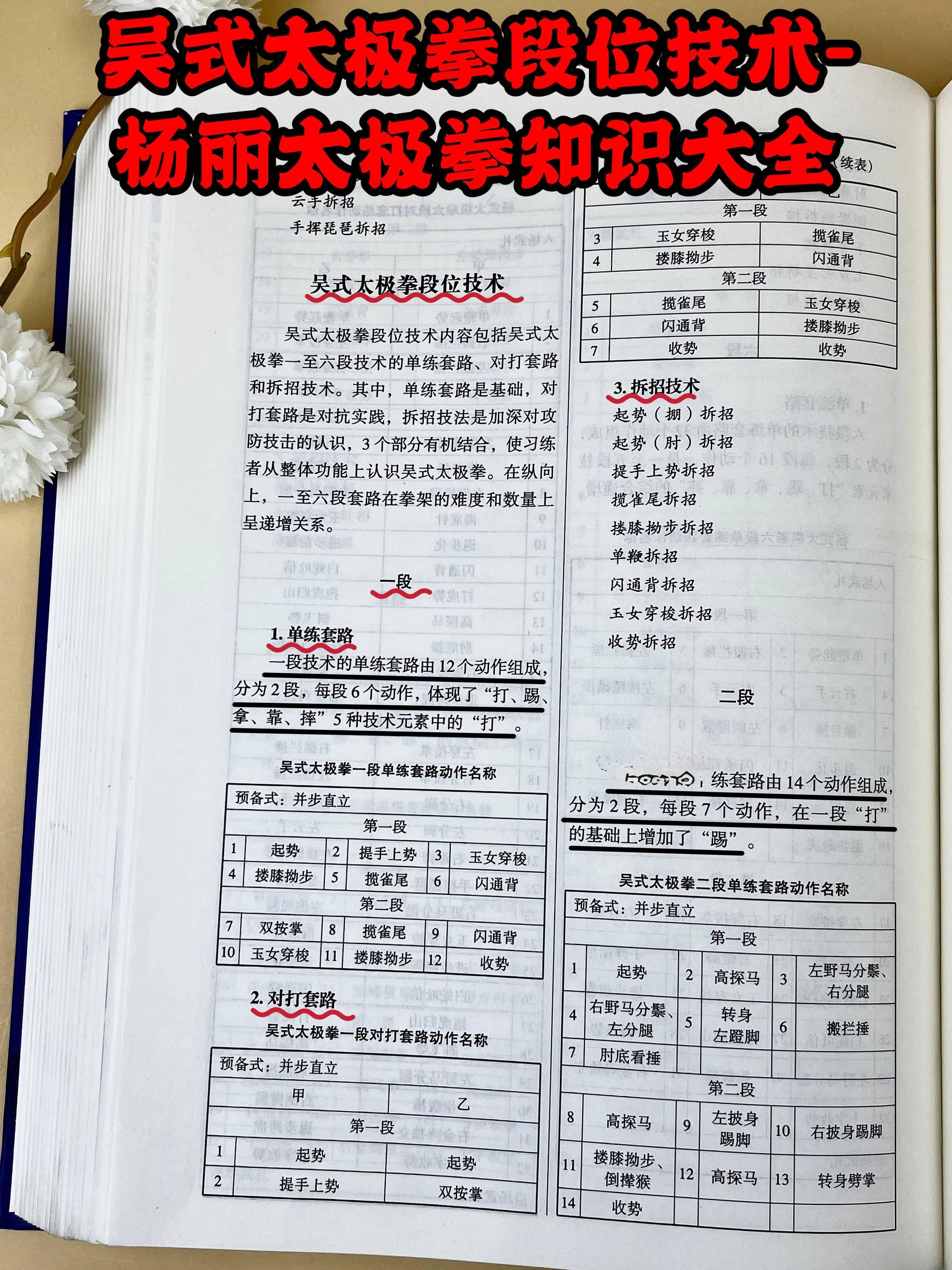 吴式太极拳段位技术-杨丽太极拳知识大全