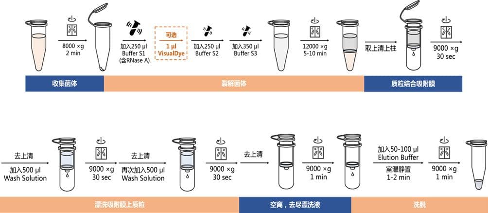 质粒抽提实验操作指南：从基础步骤到疑难杂症解决方案