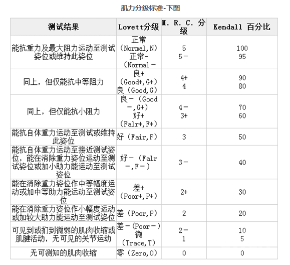 运动功能评定之肌力评定