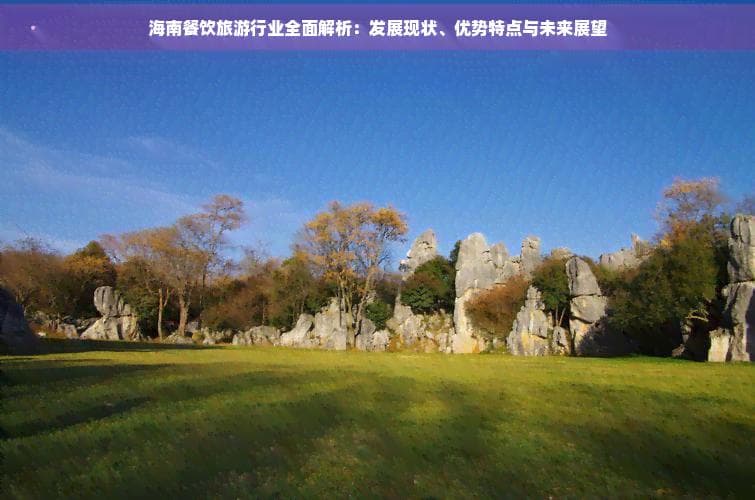 海南餐饮旅游业全面解析：发展现状、优势特点与未来展望