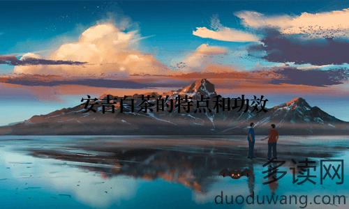 安吉白茶的特点和功效