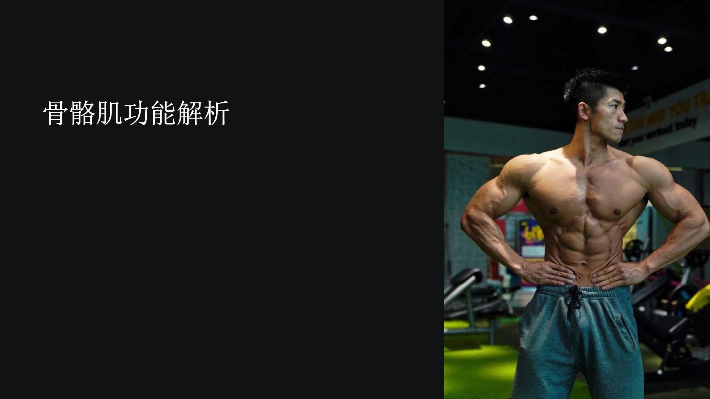 骨骼肌功能解析：从结构到功能的全面解读