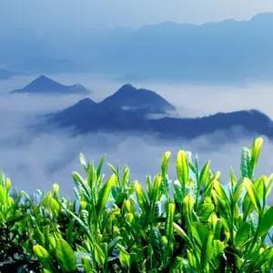 柳体十法，字字如金