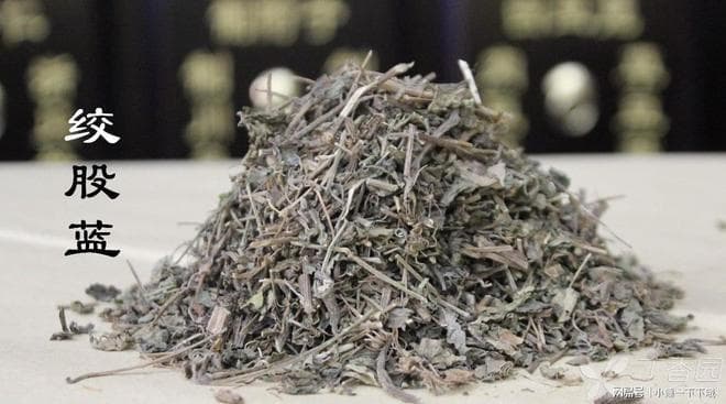 绞股蓝的功效与作用