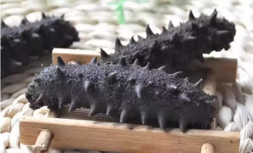 为什么你的海参老是泡发不大？