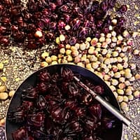 玫瑰茄果脯制作教程