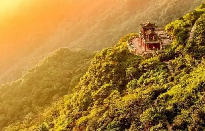 梵净山：逐“绿”前行 绘就生态保护新画卷