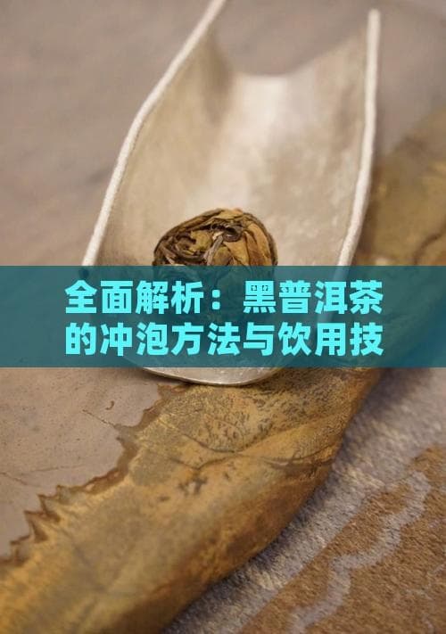 从选茶到品饮：黑普洱茶的冲泡技巧与健康功效