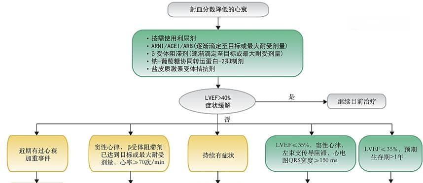 《中国心力衰竭基层诊断与治疗指南（2024年）》解读：HFrEF治疗新进展