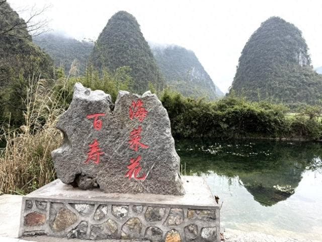 太美了！桂林竟藏着一条“会开花的河”