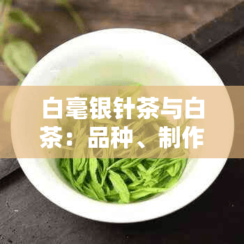 白毫银针茶与白茶：品种、制作工艺以及口感上的区别探讨