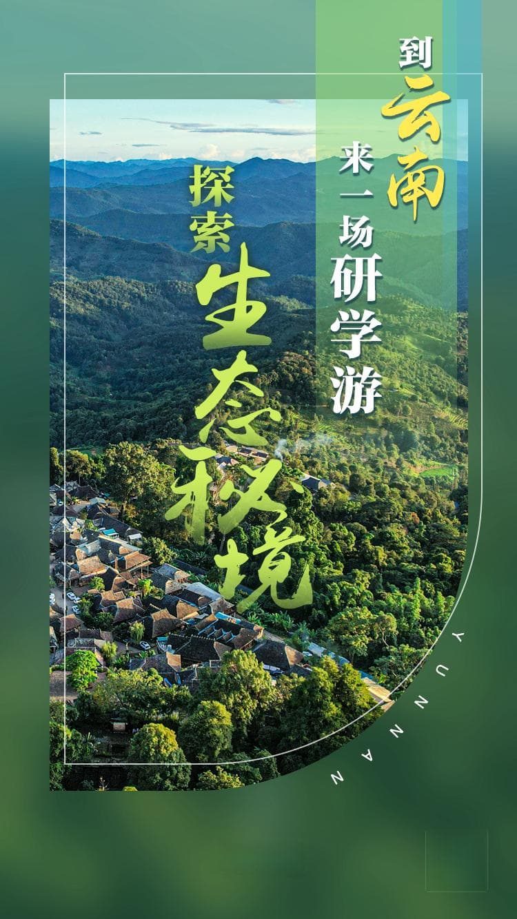 到云南来一场研学游，探索“生态秘境”