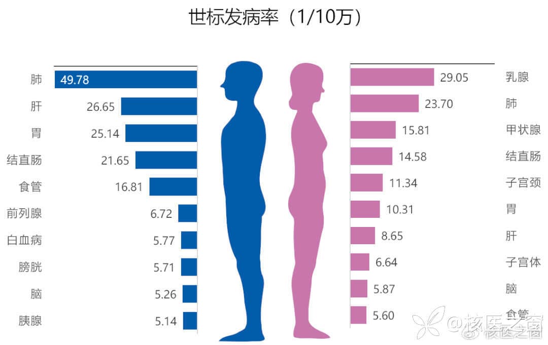 PET-CT：捕捉癌症的"生命雷达"，让早诊早治成为可能