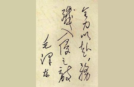 营长是什么军衔级别？部队职务与军衔的从属关系详解