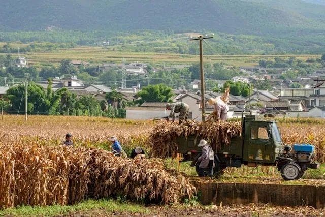 在跨文化交流中解码传统象征符号