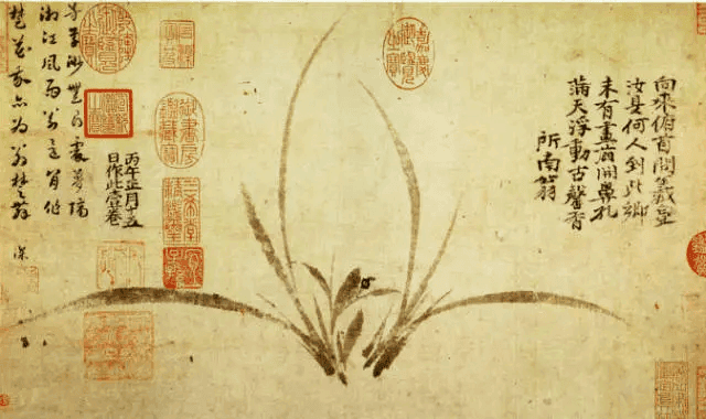 三十幅绝美兰花图， 三十种风情！