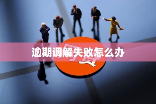 逾期调解失败怎么办