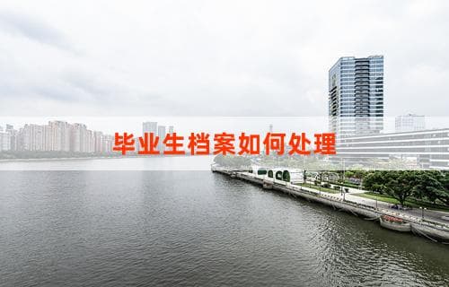 毕业生档案如何处理详解