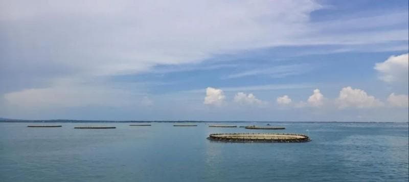 湛江海洋牧场步入养殖管理智能化时代，实现智慧监控全覆盖