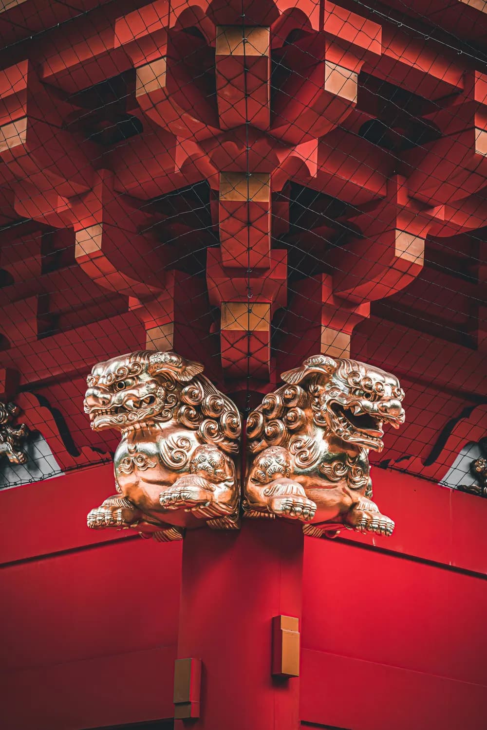 过年礼盒包装设计：红金配色的秘密